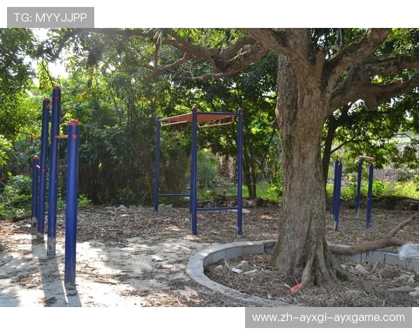 高校体育健身器材采购标准及设施覆盖现状